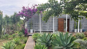 A garden with various plants and a wooden pathway leading to a building with a grey exterior and a wooden door. - Green house (ustica)