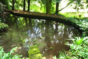 المنطقة المحيطة بالمنشأة