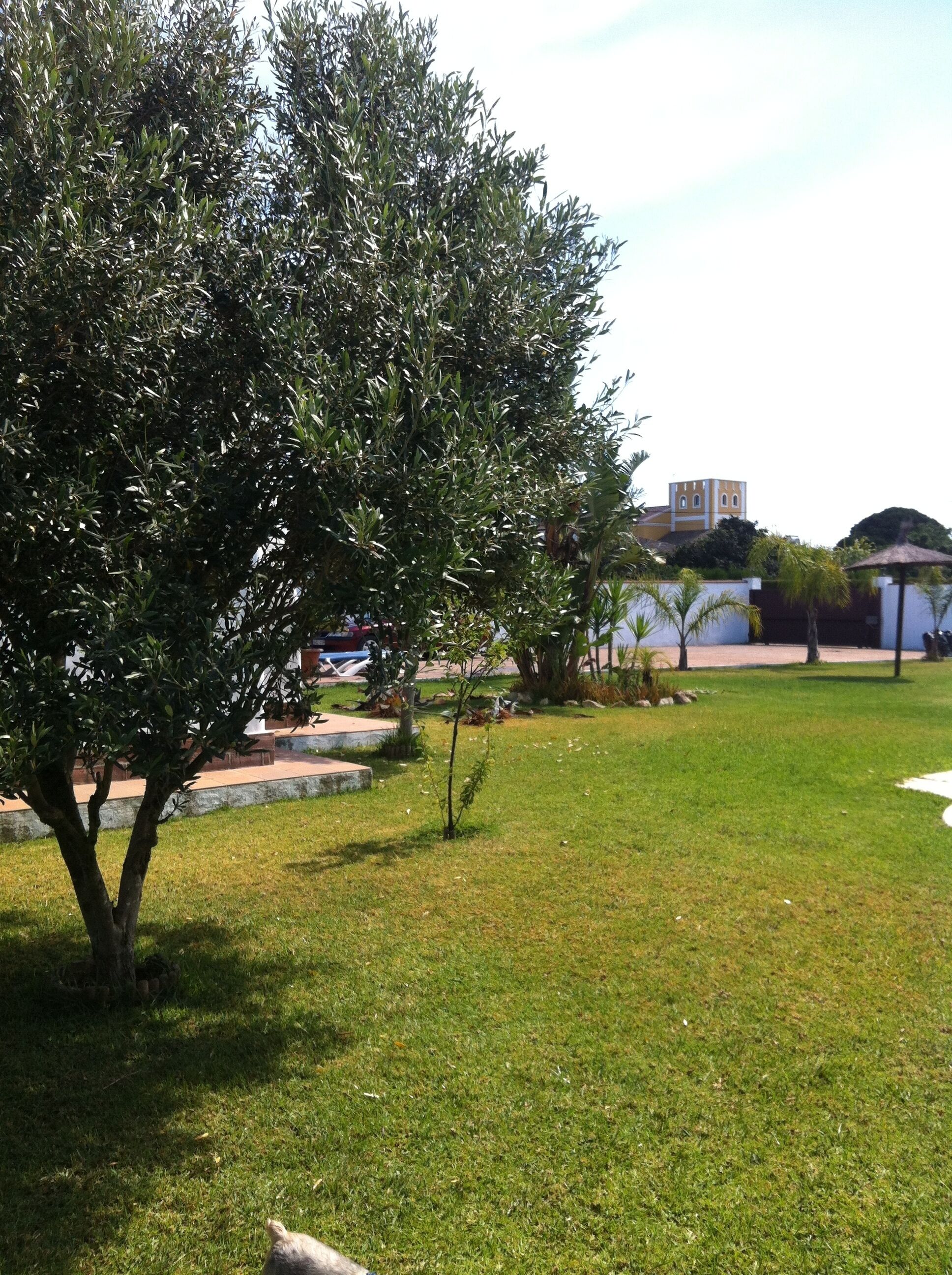 Jardines del alojamiento