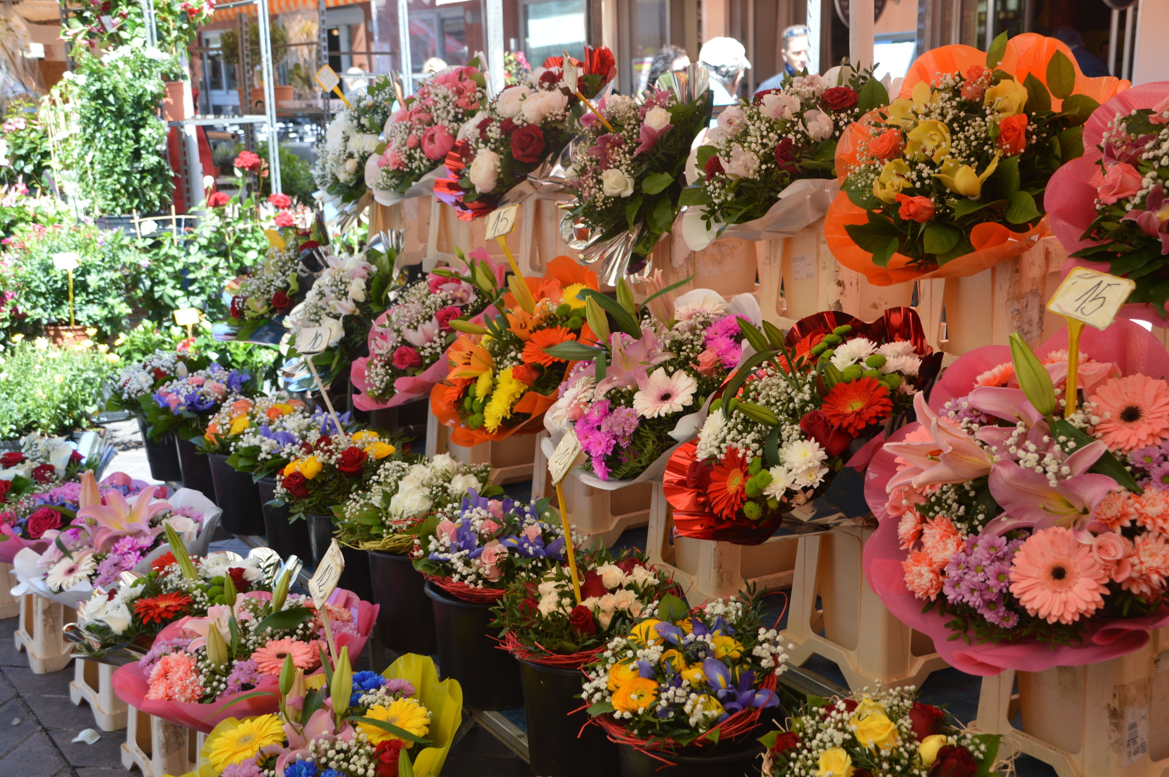 A variety of floral arrangements displayed on wooden stands.