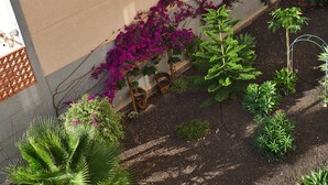 En have med forskellige planter og blomster, herunder lilla buganvillea og grønt løv.