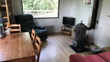 Smart TV, fireplace, books
