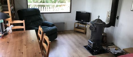 Televisor intel·ligent, llar de foc i llibres