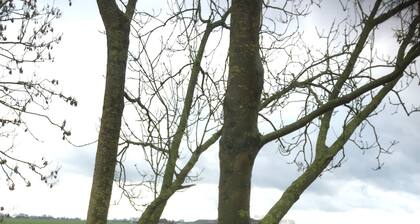 Winsum Westerham chalet