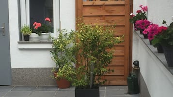 Detalle exterior