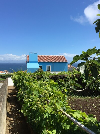 Casa do Vizinho - an oasis of relaxation
