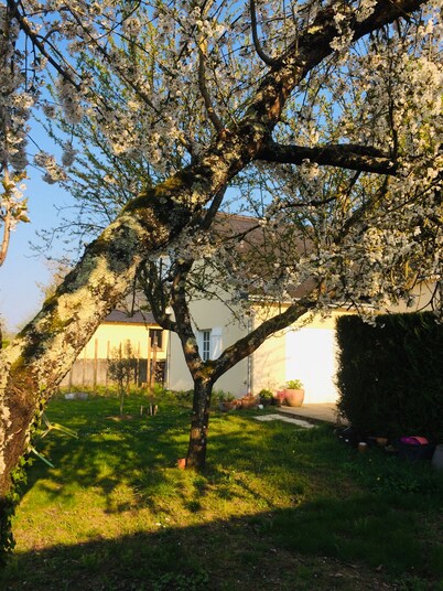Lysalin large house in the heart of the Loire Castles for 8/10 people.