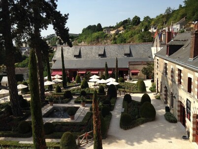 Lysalin large house in the heart of the Loire Castles for 8/10 people.