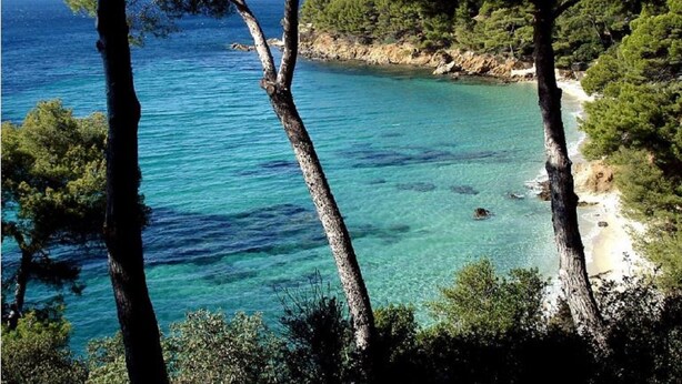 A coastal landscape with clear turquoise waters, a sandy beach, and dense green trees.
