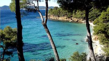 Accommodatie ligt op het strand