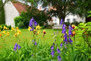 Property grounds - Domaine d'Adon **** - Charming renovated house 45m² in Adon (45) sleeps 2 (Adon)