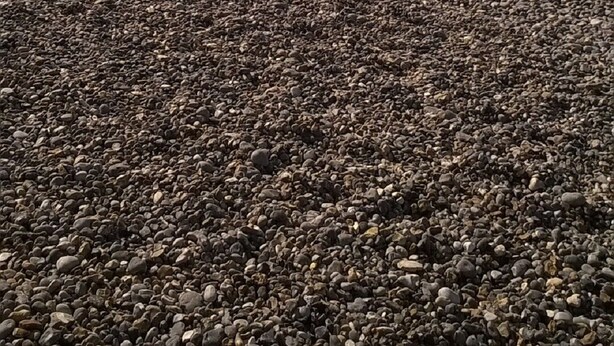 A pebbled beach with people scattered along the shore. - Country house 3 * comfortable 20 minutes of Wi-7 pers- wonderful garden (Carville-Pot-De-Fer)