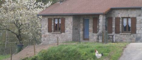 المنشأة من الخارج