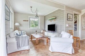 Smart TV, chimenea, reproductor de DVD y libros 