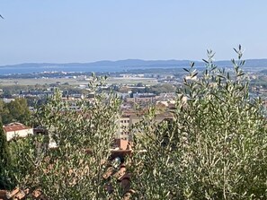 Unclassified image, 4 of 32, button