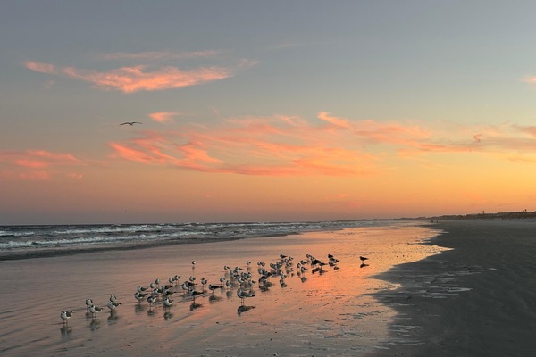 In Strandnähe, Strandtücher