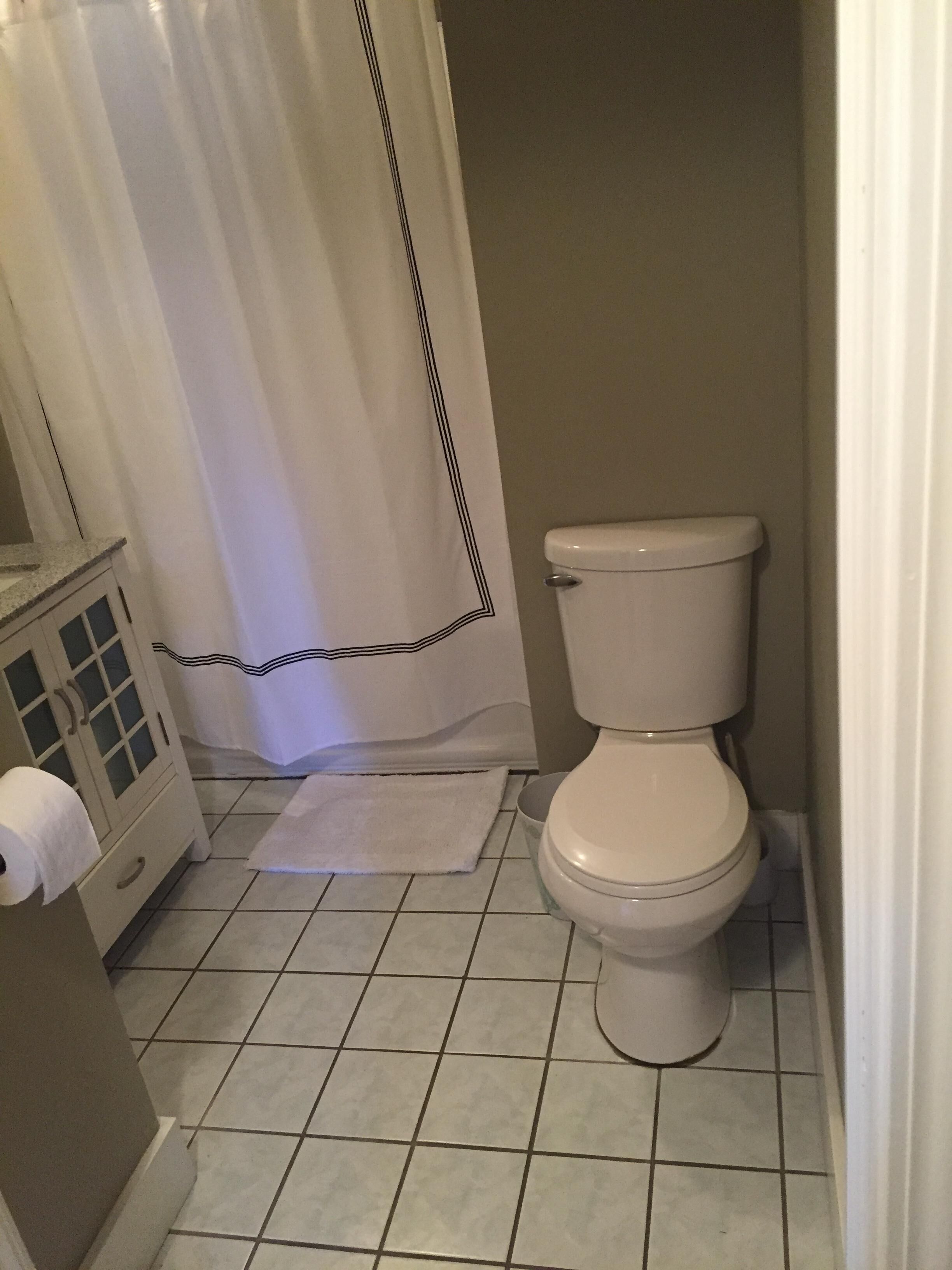 Hiustenkuivaaja, pyyhkeet, saippua, sampoo