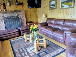 TV, fireplace, DVD player, books