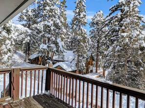 Property grounds - CASCADE MOUNTAIN RETREAT: MOUNTAIN VIEW, GREAT LOCATION NEAR LAKE AND PIKES PEAK (Colorado Springs)