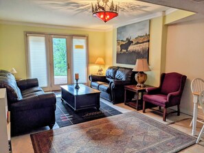 TV, fireplace, DVD player, books