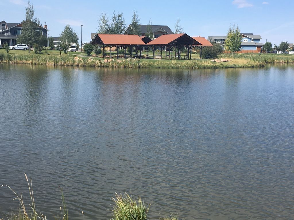 Un lac paisible, avec un pavillon et des maisons en arrière-plan.