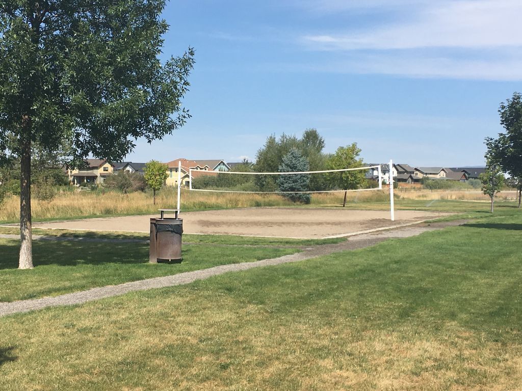 Un filet de volley-ball dans un parc, avec un sentier, des arbres et des maisons en arrière-plan.