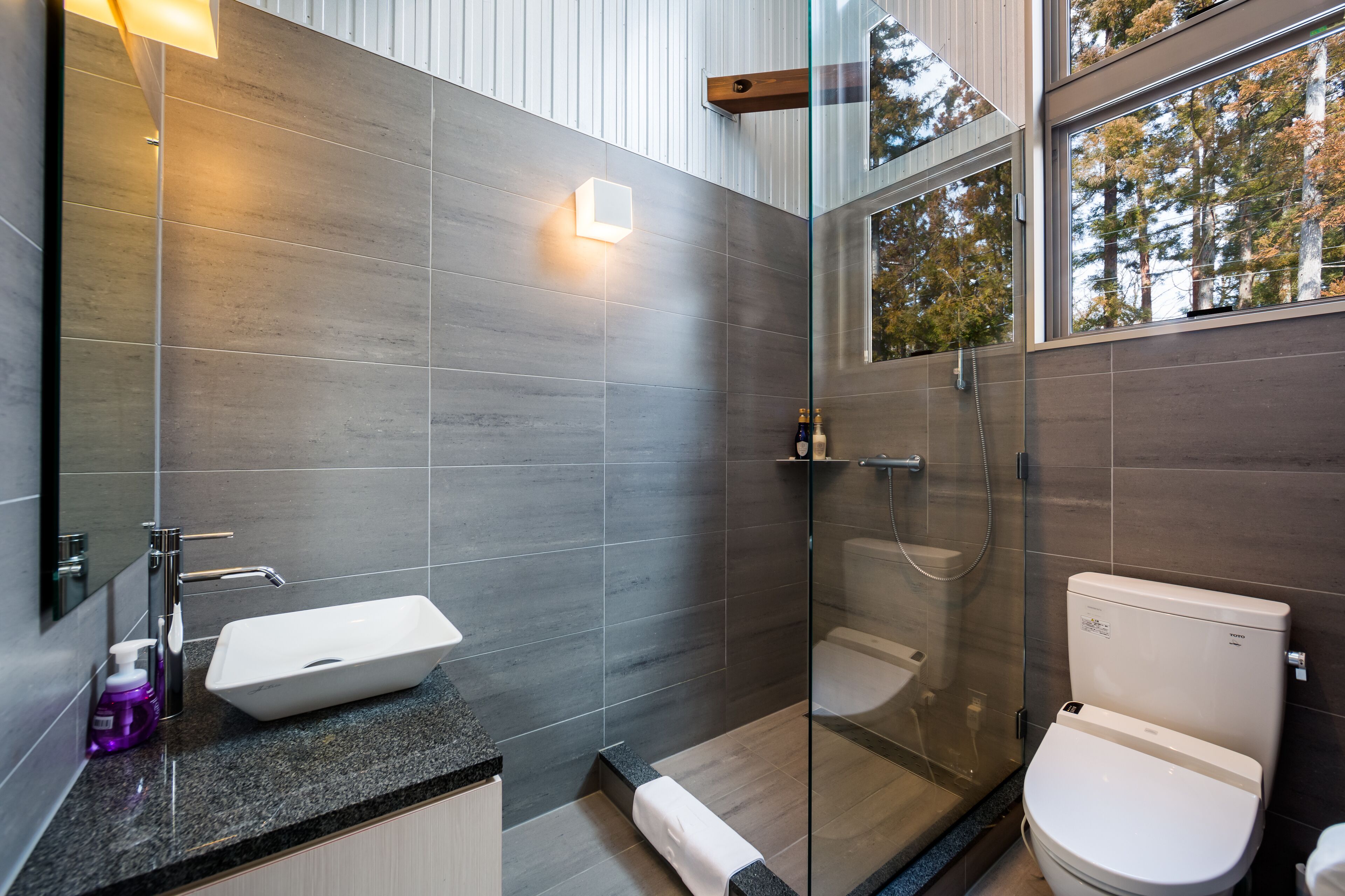 A modern bathroom with a glass shower enclosure, a white sink, and a toilet.