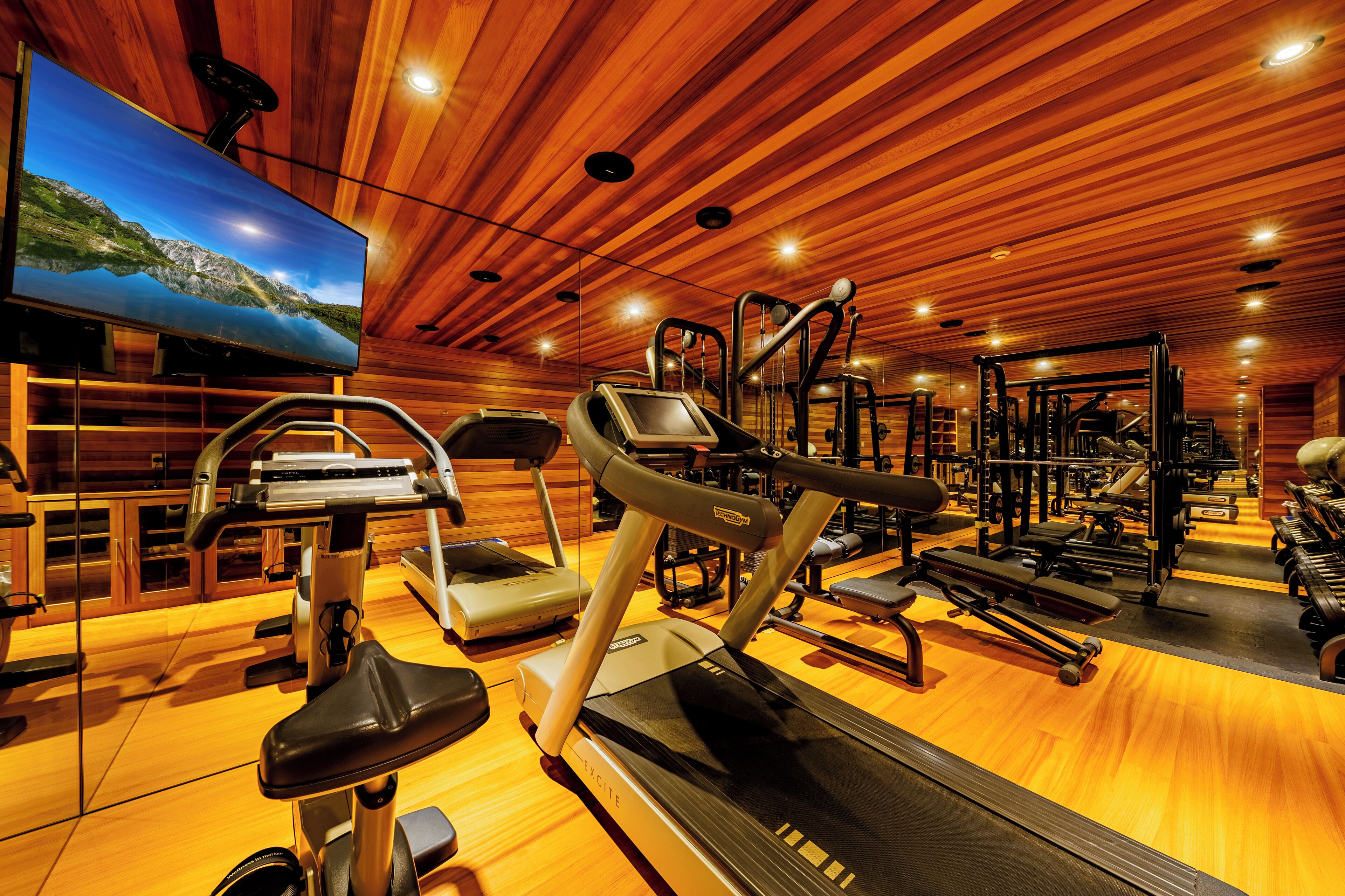 A gym with wooden floors, exercise equipment, and a TV displaying a scenic view.