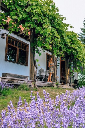 Property grounds - Lavender Cabin + Sauna and onsite trails. Retreat - Sleeps 10 near Salmon Arm BC (Salmon Arm)