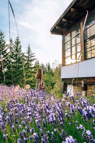 Lavender Cabin + Ski + Sauna + Group friendly in the Larch Hills + Salmon Arm