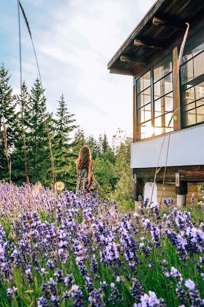 Lavender Cabin + Ski + Sauna + Group friendly in the Larch Hills + Salmon Arm