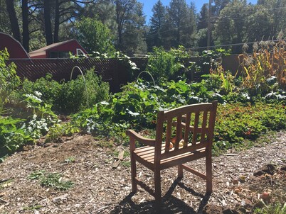 Pinetop Cabin 3 Bed-2 Bath, Fireplace, Fenced Yard- 45 Min From Sunrise Ski Area
