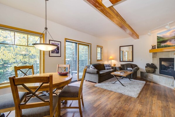 TV, fireplace, DVD player, books