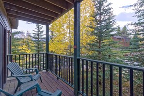 Property grounds - IDEAL LOCATION: Short walk to town & ski-in, W/D, Dishwasher, Fireplace, Hot tub (Breckenridge)