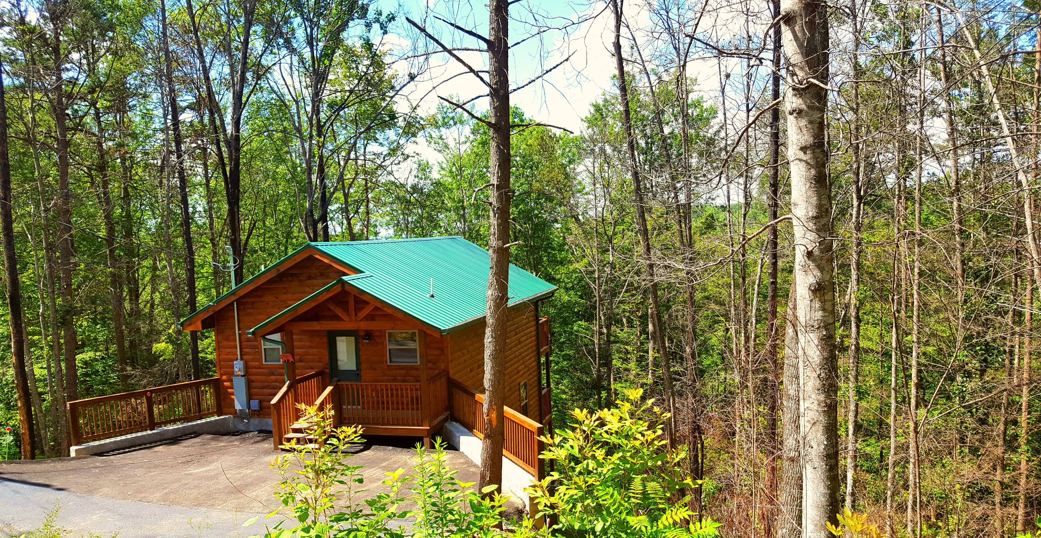 A cabin with a green roof, surrounded by dense forest.