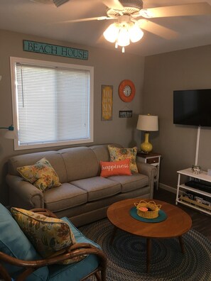 TV, DVD player, video library