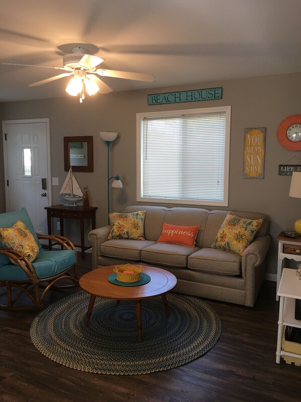 TV, DVD player, video library