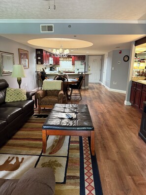 TV, fireplace, DVD player, books