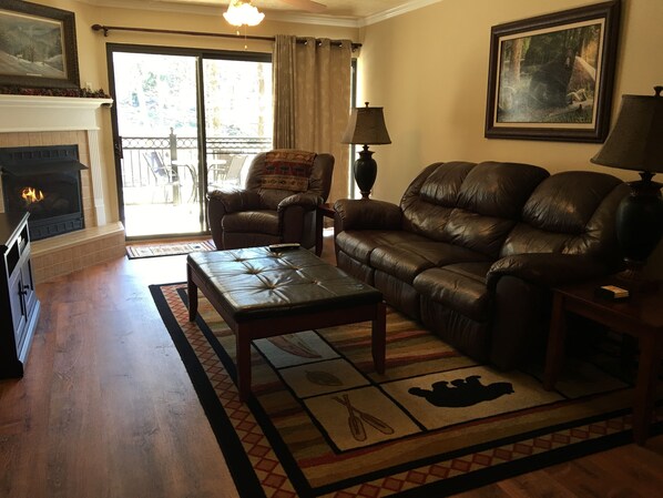 TV, fireplace, DVD player, books