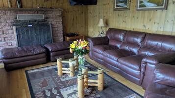 TV, fireplace, DVD player, books