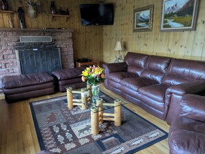 Télévision, cheminée, lecteur de DVD, livres