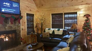 Smart TV, fireplace, DVD player, books