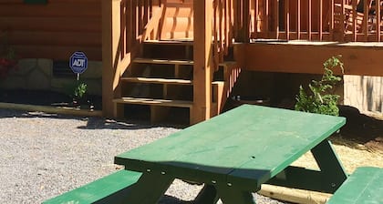 2026 NOW OPEN TO RESERVE at The Curious Bear in Gatlinburg Enjoy the best!!