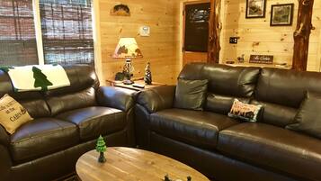 Smart TV, fireplace, DVD player, books