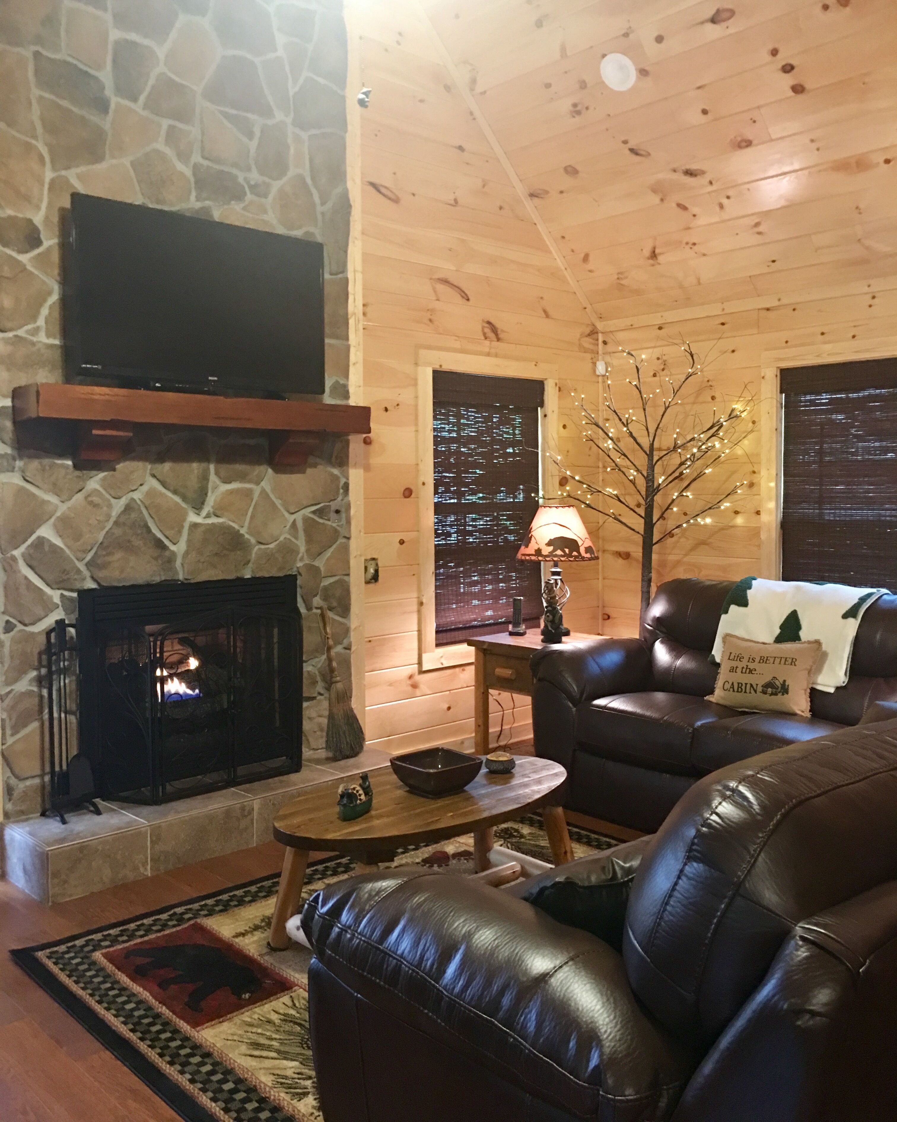 Smart TV, fireplace, DVD player, books