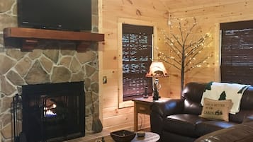 Smart TV, chimenea, reproductor de DVD y libros