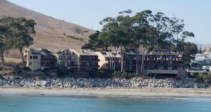 SPECIAL DISCOUNTS on Breathtaking, and Completely Remodeled Beachfront Condo