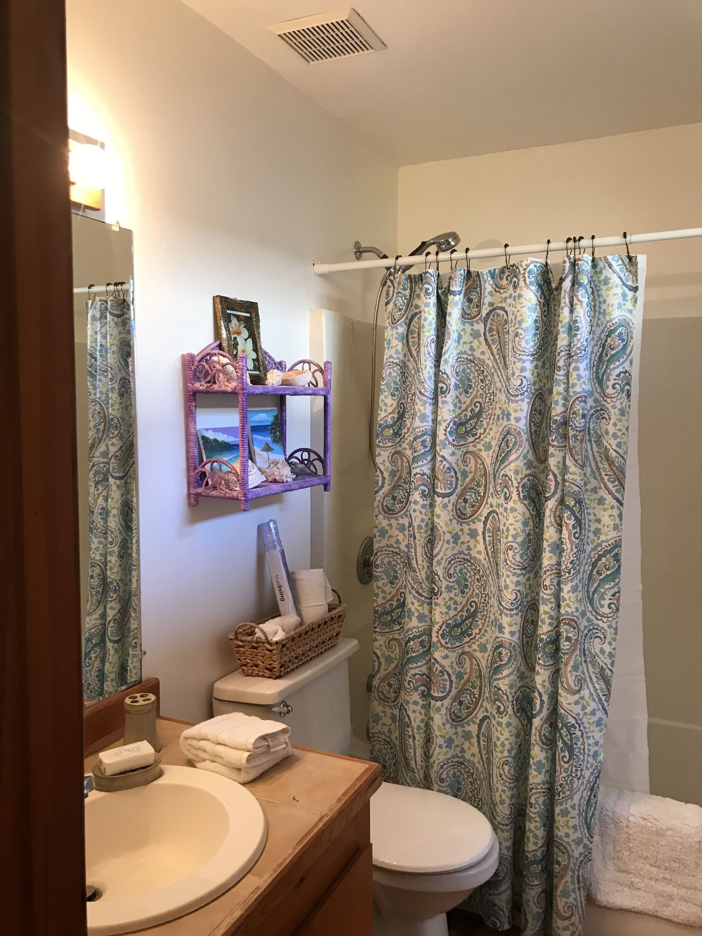 Une salle de bain équipée de toilettes, d’un lavabo et d’un rideau de douche.