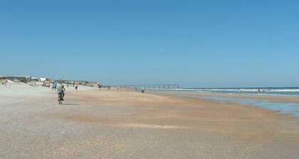 CHARMING 2/2 COTTAGE JUST A SHORT WALK TO THE BEACH/PET FRIENDLY/ WIFI