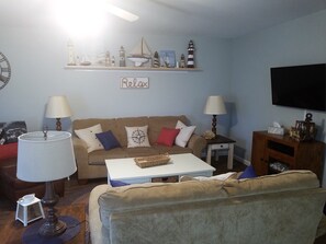 TV, DVD player, video library